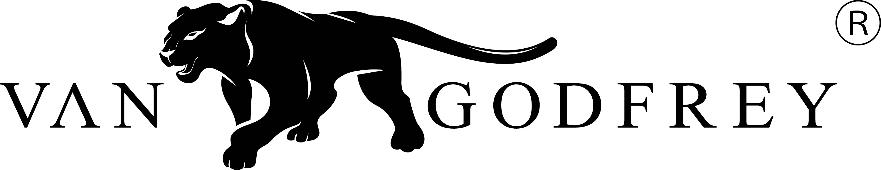 VAN GODFREY | Art & Streetwear Brand project showcase